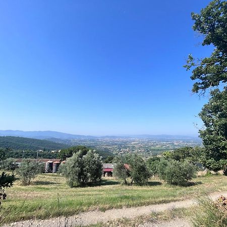 Le Case Di Anita In Toscana - Arezzo Exterior photo